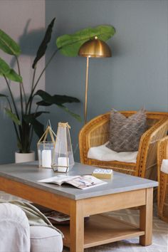 a living room with wicker chairs and a coffee table in front of a plant