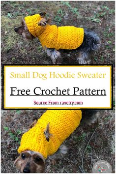 a small dog wearing a yellow sweater with the words, small dog hoodie sweater free crochet pattern