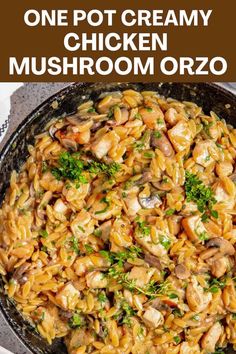 one pot creamy chicken mushroom orzo in a skillet with the title above it