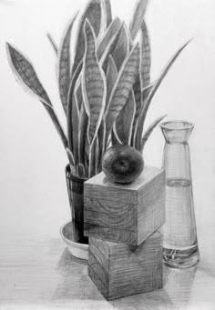 a pencil drawing of some plants in a vase and another object on a table next to it