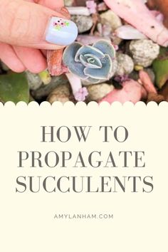 someone holding a succulent in their hand with the title how to propagate succulents