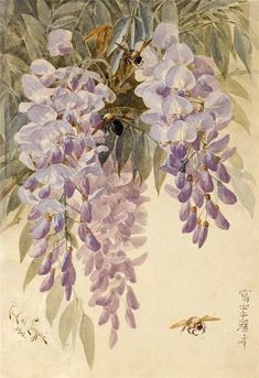 a painting of purple flowers on a white background