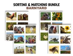 the sorting and matching bundle includes pictures of farm animals, birds, and other things