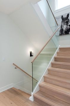 a stair case with glass railing and wooden handrails in a modern style home