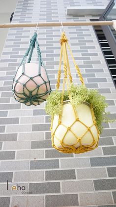 two hanging planters with plants in them