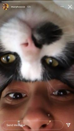 a cat's face is seen through the eyes of a person with long black and white hair