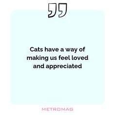 cats have a way of making us feel loved and appreciated