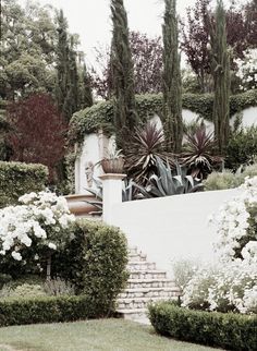 an outdoor garden with white flowers and greenery on the steps leading up to it