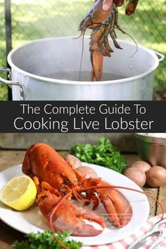 the complete guide to cooking live lobster