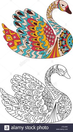 a coloring book page with an image of a colorful peacock on it's back