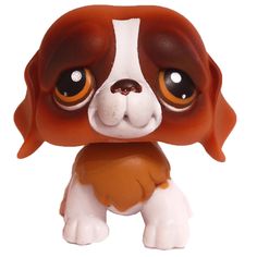 a brown and white dog with big eyes