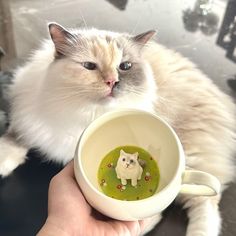 a white cat sitting in front of a cup