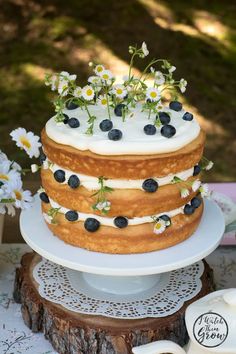 a cake sitting on top of a white plate covered in blueberries and daisies