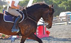 a woman riding on the back of a brown horse