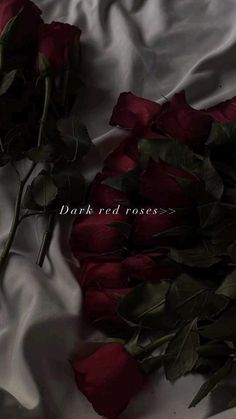 two red roses laying on top of a white sheet with the words dark red roses