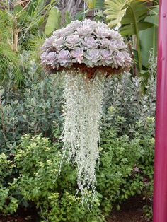 a hanging plant in the middle of some bushes and plants with white flowers on it