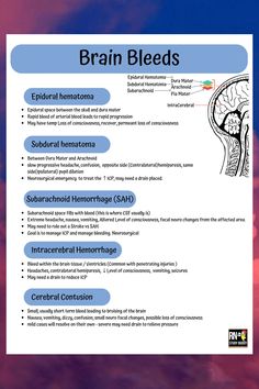 an image of the brain and its functions