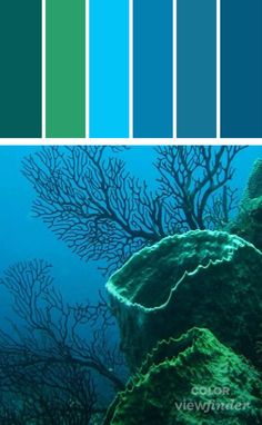 the color palette is blue and green, with corals in the water behind it