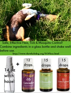 an advertise for essential oils with the image of a stuffed animal in grass