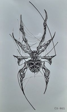 a drawing of a spider on a gray background