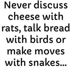 a black and white photo with the words never discuss cheese with rats, talk bread with birds or make moves with snakes