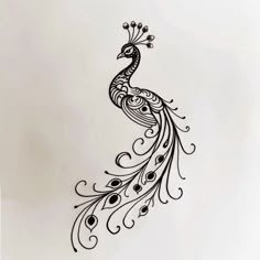 Peacock Ink Master Tattoo Files Dainty Peacock Tattoo, Fine Line Peacock Tattoo, Peacock Tattoo Black And White, Peacock Henna, Tattoo Sizes, Ink Master Tattoos, Emo Tattoos