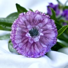 a purple flower sitting on top of a white cloth