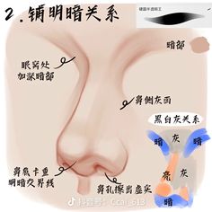 an image of a nose with chinese writing on it and the words written in english