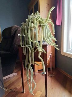 an odd looking plant sitting on top of a wooden table