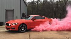 Car Burnout Gender Reveal, Gender Reveal With Car, Race Car Gender Reveal, Burn Out Gender Reveal Ideas, Gender Reveal Burnout Party Ideas, Gender Reveal Ideas Car, Burn Out Gender Reveal, Car Gender Reveal