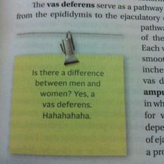 a piece of paper that has been pinned to a bulletin board with the words, is there a difference between men and women?