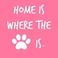 a pink background with white lettering that says, home is where the dog is