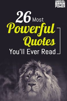 a lion with the caption that reads 26 most powerful quotes you'll ever read