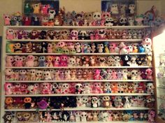 a shelf filled with lots of different kinds of stuffed animals