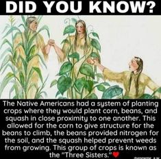 two people standing next to each other in front of a plant with the caption did you know?