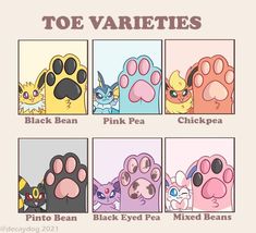 an image of different types of paw prints for dogs and cats with caption that says toe varieties