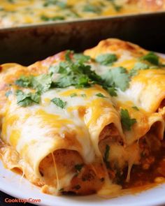 a white plate topped with enchiladas covered in cheese and cilantro