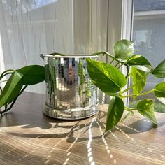 a potted plant sitting on top of a wooden table next to a glass window