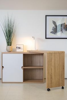 a wooden cabinet sitting next to a potted plant on top of a white tiled floor