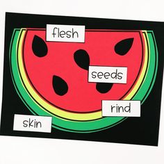 a watermelon cut out with words on it to describe the parts of a fruit