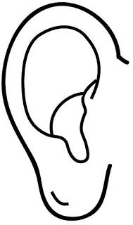 a black and white drawing of an ear