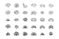 the different types of water lilies are shown in black and white on a white background