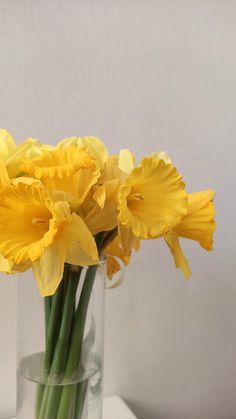 yellow daffodils in a clear glass vase on a white tableclothed surface