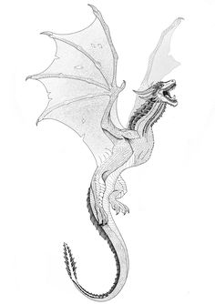 a black and white drawing of a dragon with its wings spread out, it's head