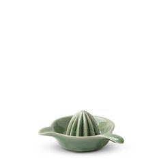 a green ceramic bowl with a cactus in the center on a white background, it appears to be empty