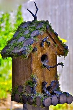 a birdhouse with moss growing on it's roof and the words, birds are in