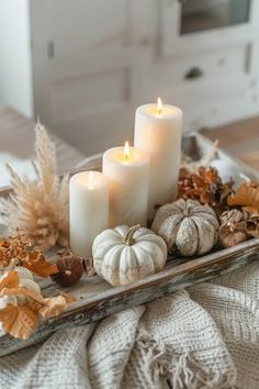 three candles sitting on top of a tray filled with pumpkins and other autumn decorations