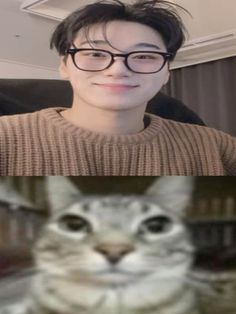 two pictures one with a cat and the other with an image of a man wearing glasses