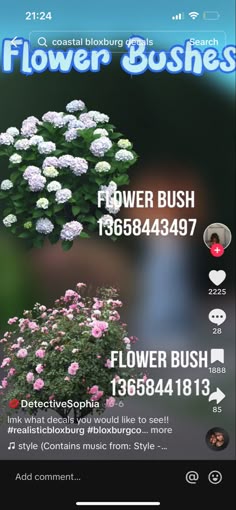 the flower bush app is open and ready to be used