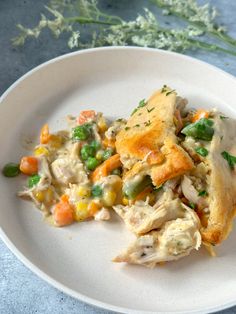 a white plate topped with chicken pot pie